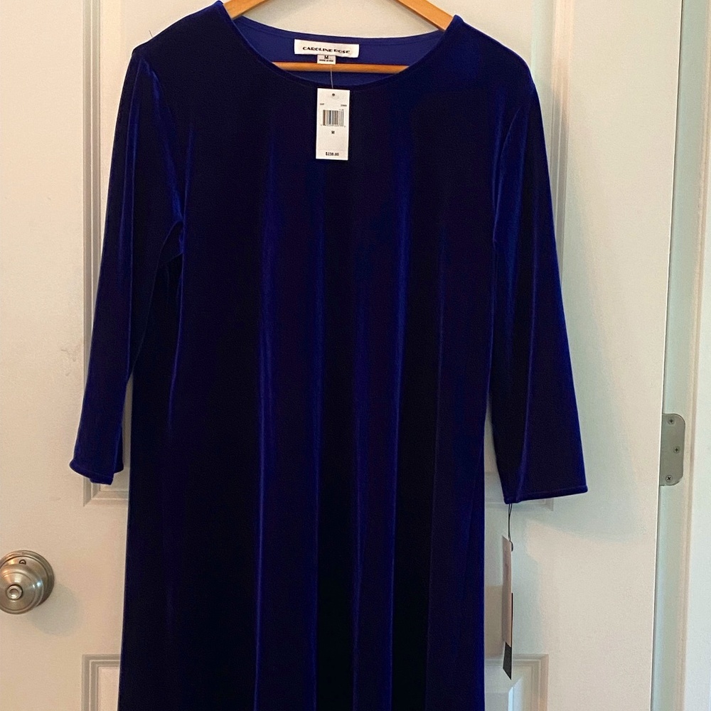 Blue Velvet Caroline Rose dress